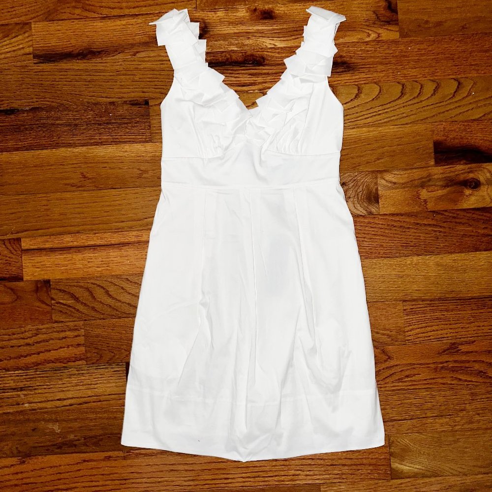 NWT Women's Kerry coral reef ruffle v-neck mini dress by BCBGMaxAzria!